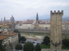 IMG_4428.jpg