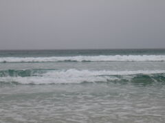 IMG_3503.JPG