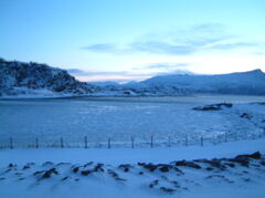 DSCF0004.JPG