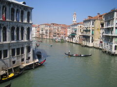 IMG_4681.jpg