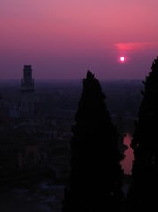 IMG_4860.jpg
