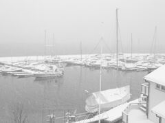 DSCN0389.JPG
